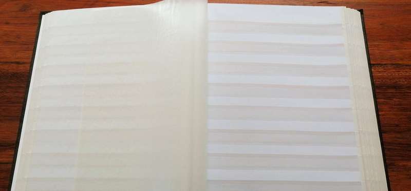 Good Nick Imperial 20 Pg / 40 Side 9 rung clear strips stockbook double protective sheets