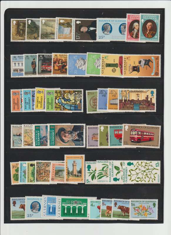 Modern Guernsey on stock book page. See Scan.