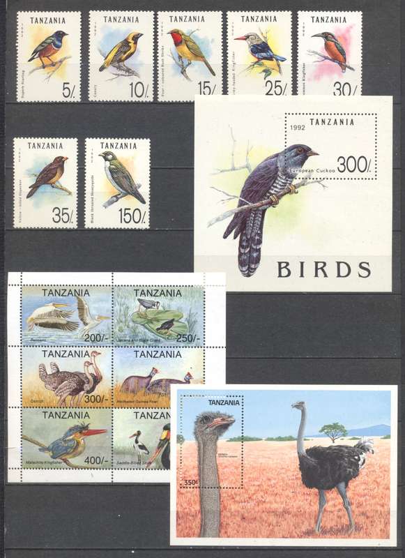 Tanzania Birds selection Superb Unmounted