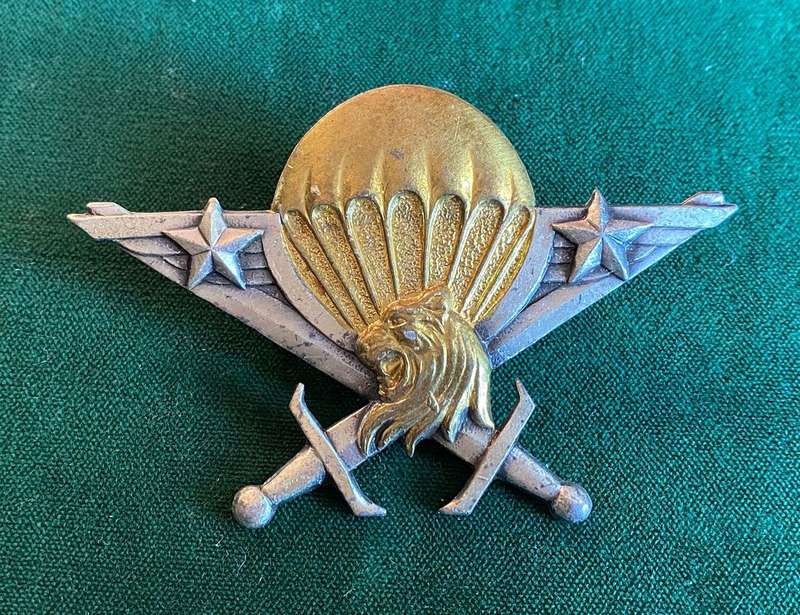 CAMEROON PARA WING-ARMY PRE 1985- 2 LUGS