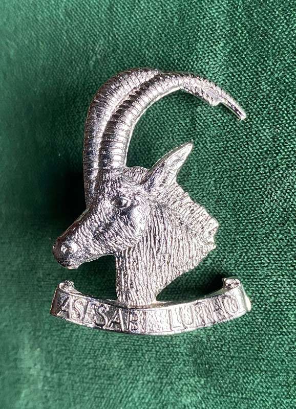 1 RHODESIAN ARMOURED CAR REGT. CAP BADGE-WORN 1970'S-1980- 2 LUGS