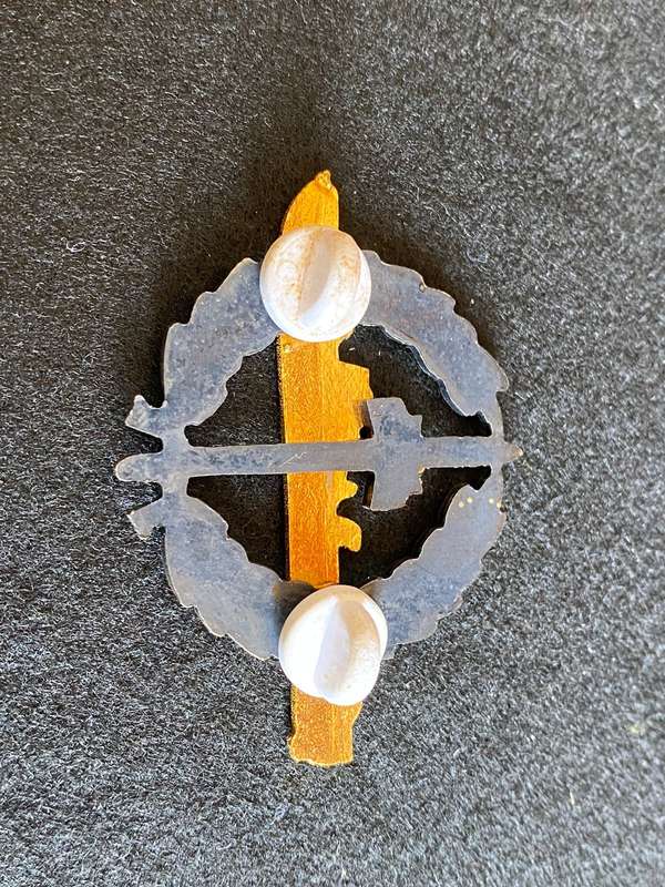 SA NAVY STRIKE CRAFT FLOTILLA-BI/METAL BREAST BADGE-2ND TYPE WITH OXIDISED WREATH-APPROVED 1981- 2 P