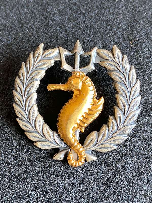 SA NAVY INDEPENDENT SHIPS AND AIR/SEA RESCUE FLOTILLA BI/METAL ONE PIECE BREAST BADGE-APPROVED IN 19