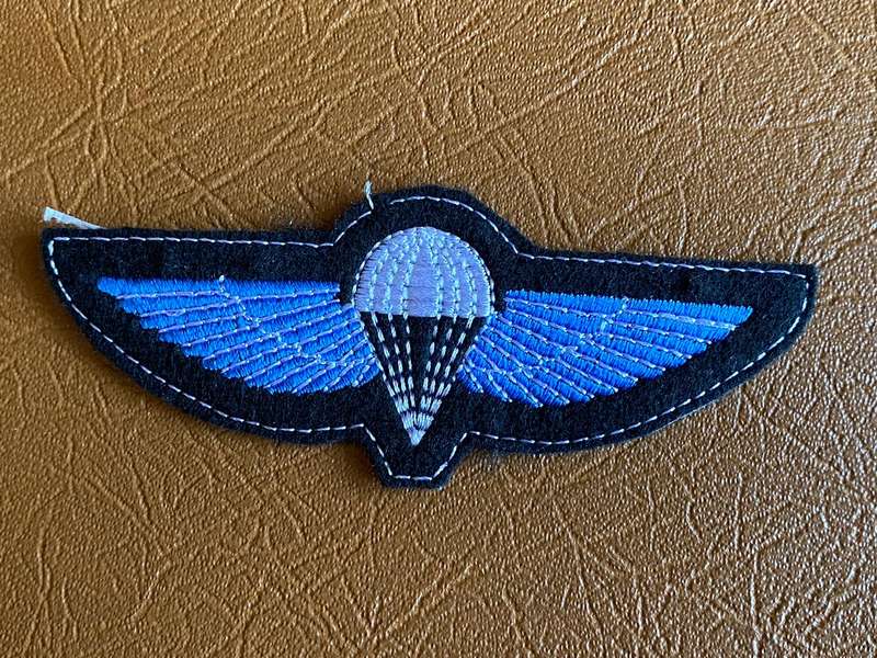 RECCE/SA HUNTER GROUP PARA WING-SOLD AS IS- COPY