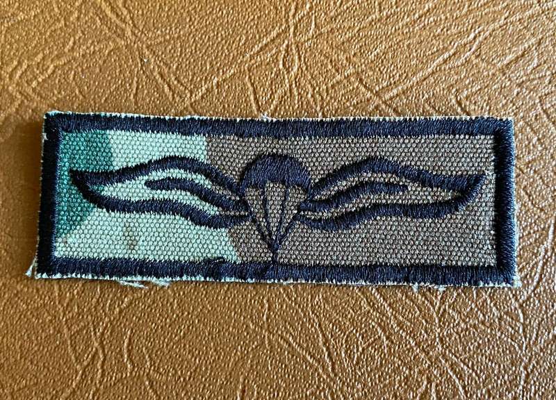 PARA WINGS-SANDF
