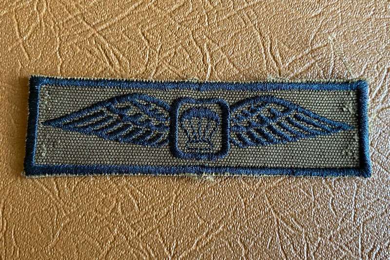 PARA INSTRUCTOR WING FOR COMBAT UNIFORM