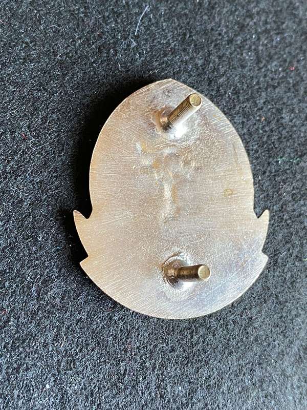 21 BATTALION LUCITE COVERED CAP BADGE-WORN 1989-2003- 2X SCREW LUGS