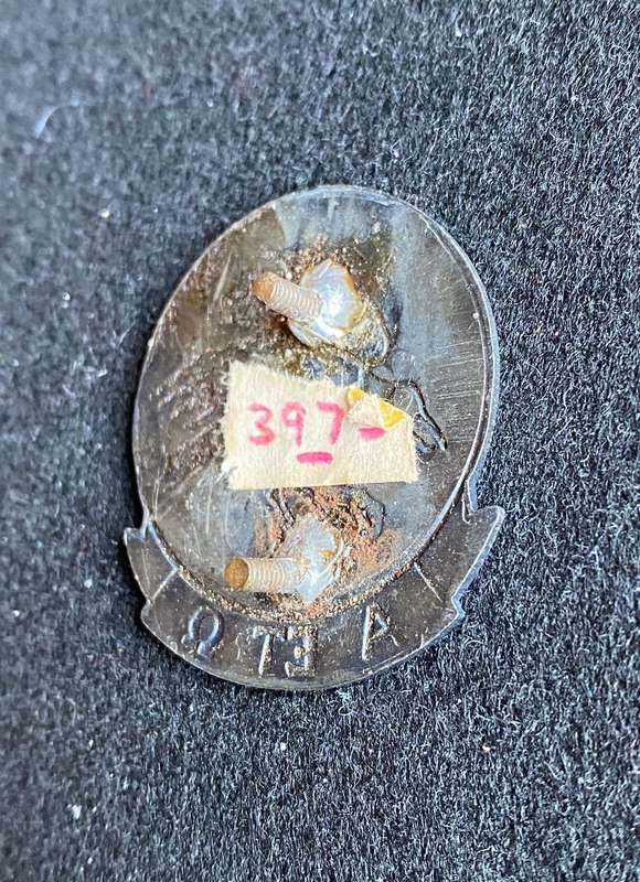 31 BATTALION CAP BADGE-APPROVED IN 1990- 2X SCREW LUGS