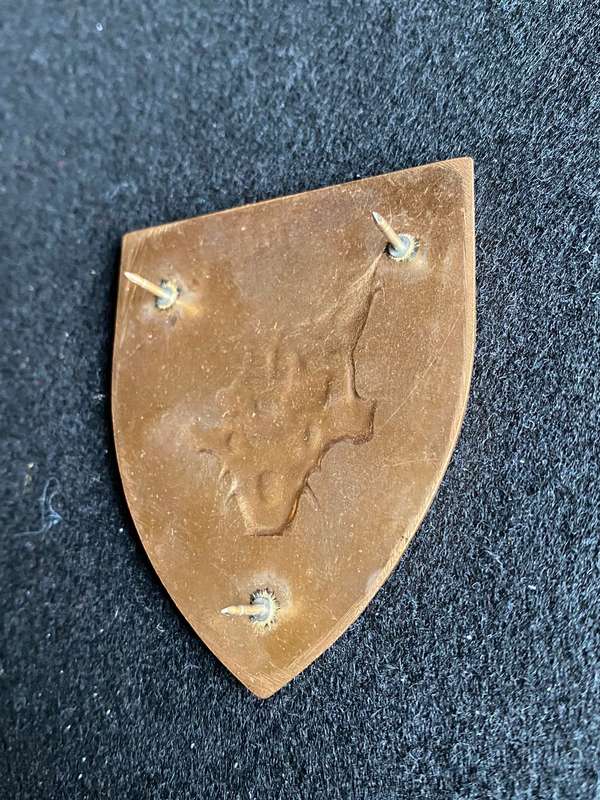 7 SA INFANTRY BATTALION FLASH- 3 PINS