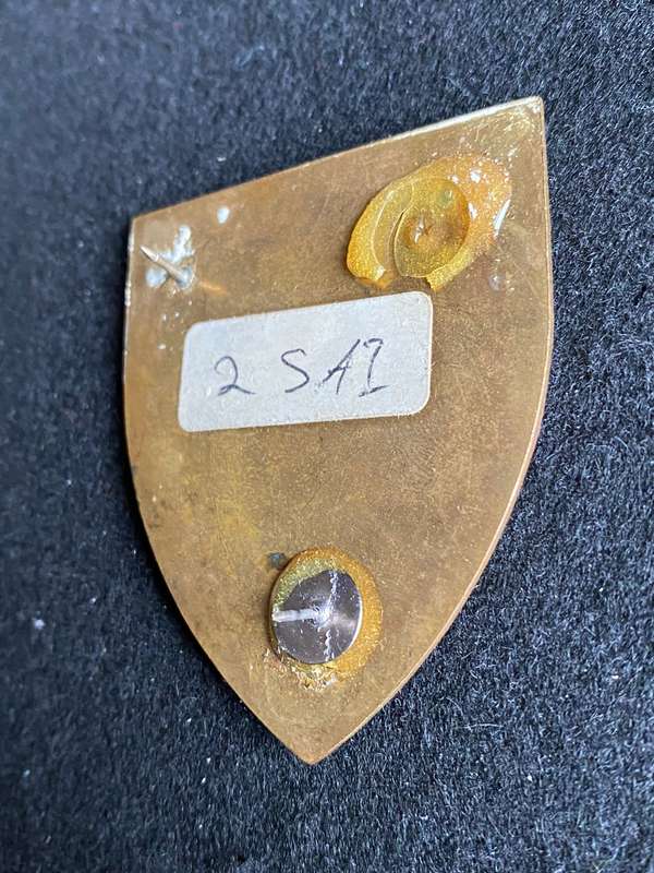 2 SA INFANTRY BATTALION FLASH- 2 PINS