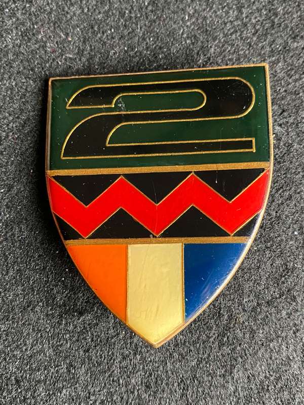 2 SA INFANTRY BATTALION FLASH- 2 PINS