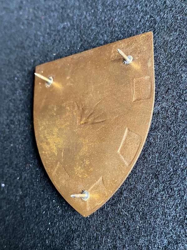 6 SA INFANTRY BATTALION FLASH-GOLD TYPE- 3 PINS