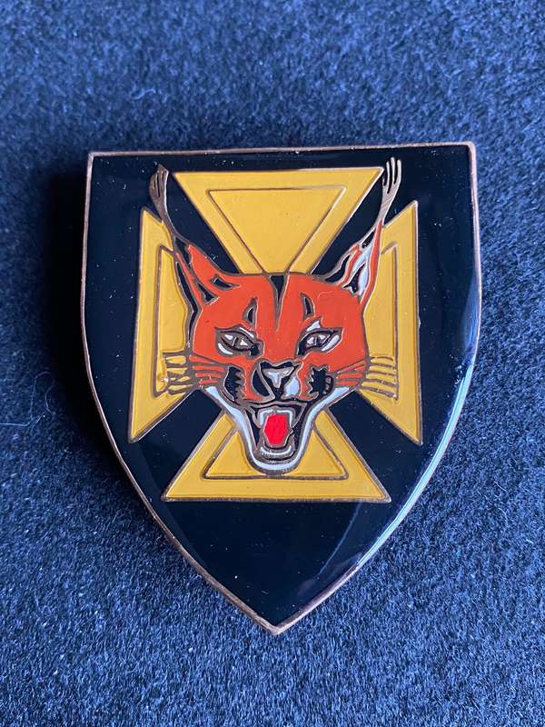 7 SA INFANTRY BATTALION FLASH- 3 PINS