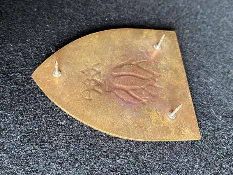 NORTHERN CAPE COMMAND ENGINEER REGT. FLASH- 3 PINS