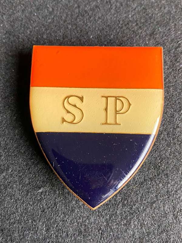 STATE PRESIDENTS GUARD FLASH- 3 PINS