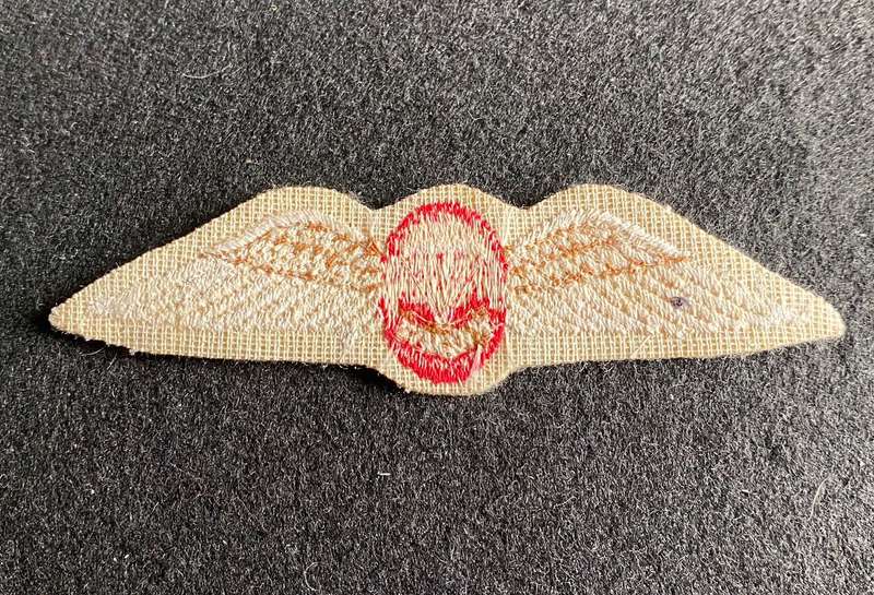 PARACHUTE WING-FREE FALL QUALIFIED-1970'S-ORIGINAL