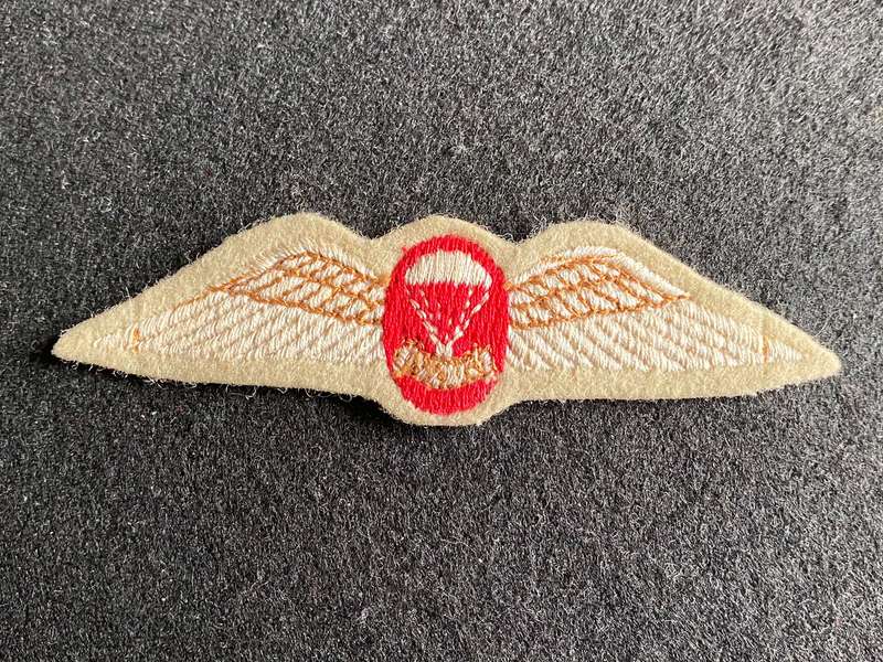 PARACHUTE WING-FREE FALL QUALIFIED-1970'S-ORIGINAL