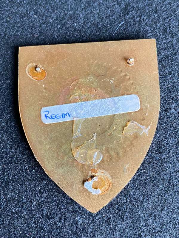 REGIMENT BOTHA FLASH- NO PINS