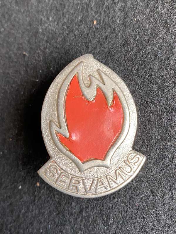 113 BATTALION BERET BADGE-WORN 1980-1990'S- 2 LUGS