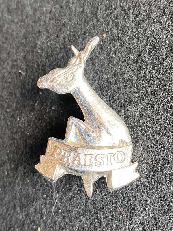 115 BATTALION BERET BADGE-WORN 1990'S-2003- 2 X SCREW LUGS