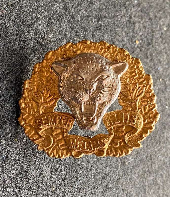 6 SA INFANTRY BERET BADGE-WORN 1986-2003-2X SCREW LUGS