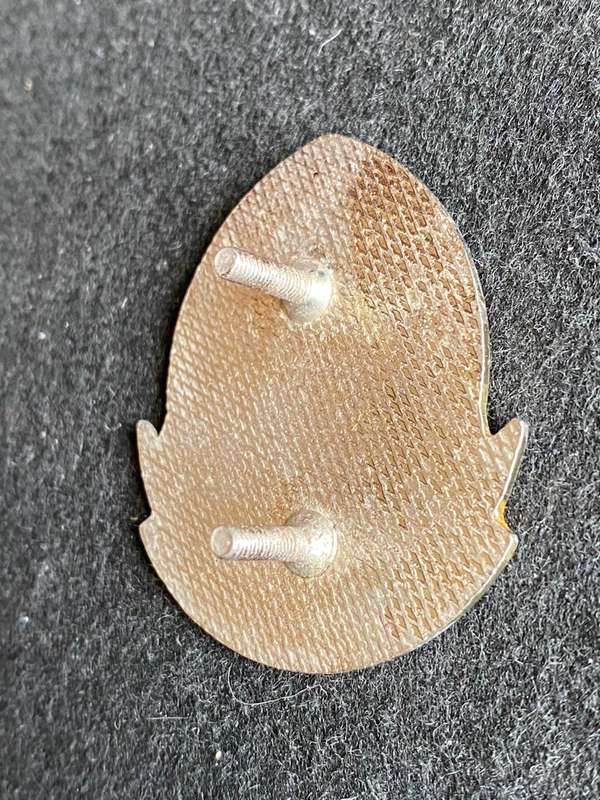 21 BATTALION BERET BADGE-WORN 1989-2003- 2 X SCREW LUGS