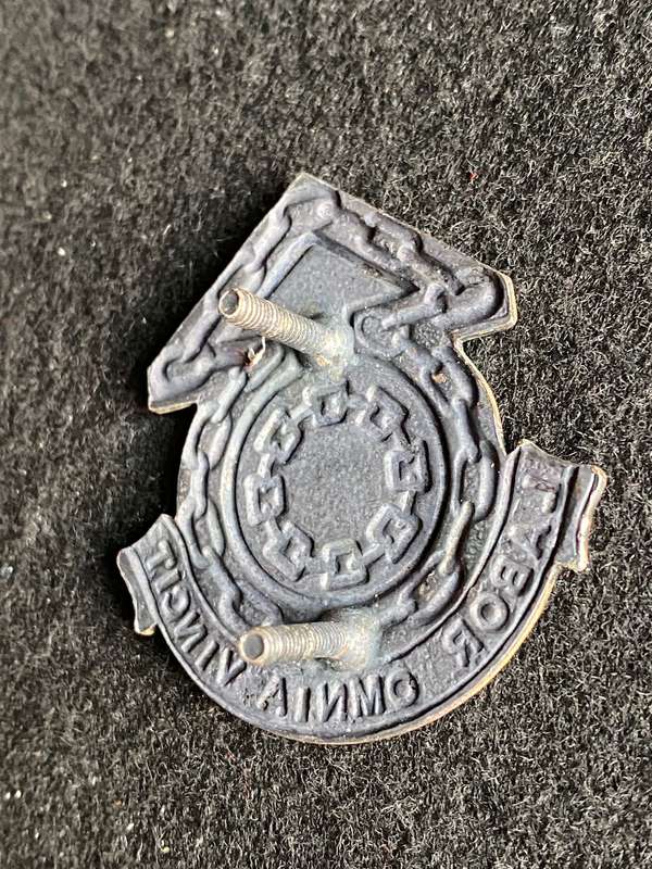 LOG COMMAND HQ CAP BADGE-WORN FROM 1987-2003- 2 X SCREW LUGS