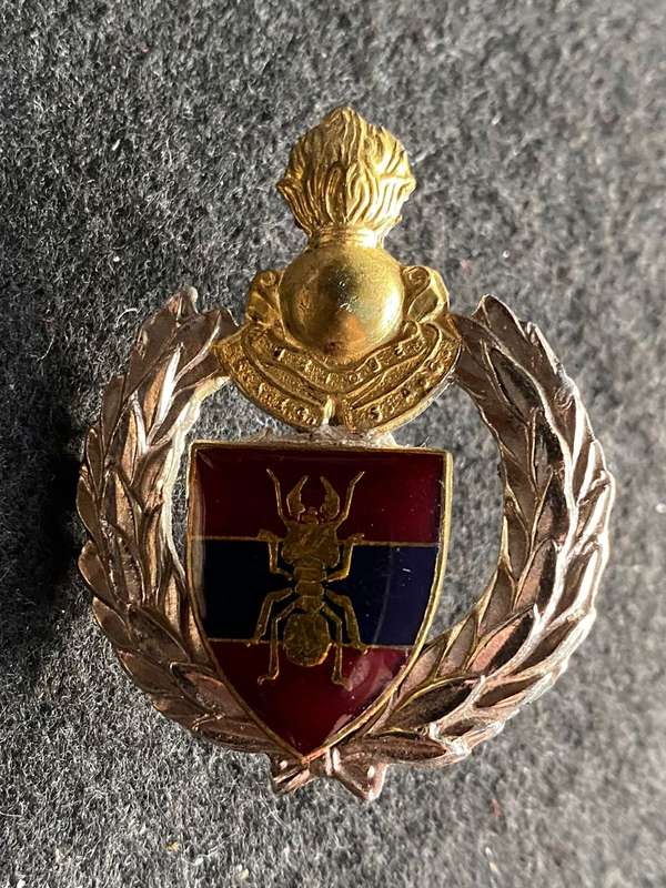 1 CONSTRUCTION REGIMENT CAP BADGE-WORN FROM 1980'S- 2 X SCREW LUGS