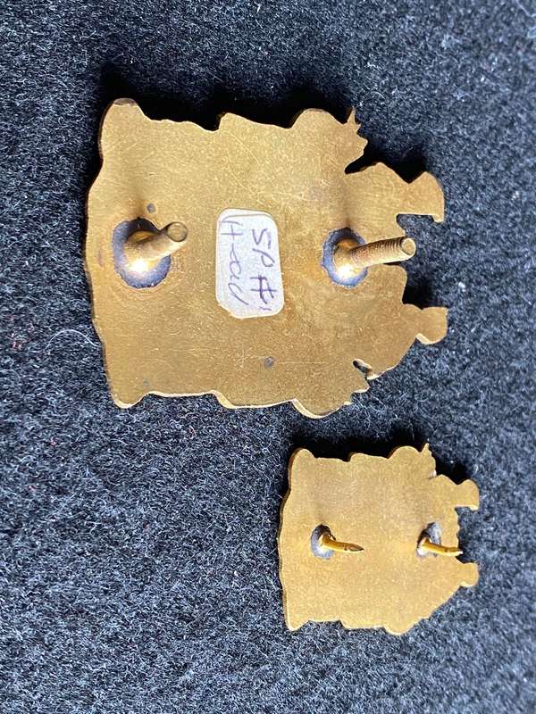 STATE PRESIDENTS GUARD CAP AND COLLAR-WORN 1986-1990-LUGS + PINS INTACT