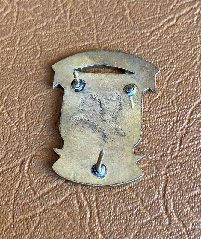REACTION UNIT BLUE AND GOLD BREAST BADGE- 3 PINS