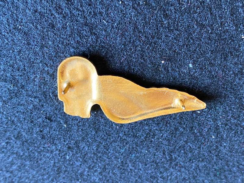 SOUTH AFRICAN AIRWAYS,CABIN ATTENDANT BREAST WING- 2 PINS