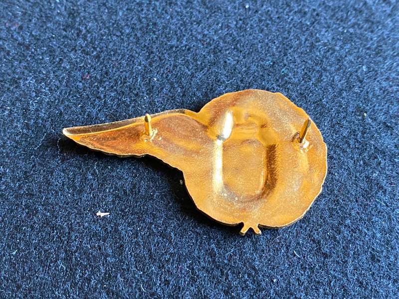 SCARCE- SOUTH AFRICAN AIRWAYS INSTRUCTOR/INSTRUCTORESS CABIN CREW BREAST BADGE- 2 PINS