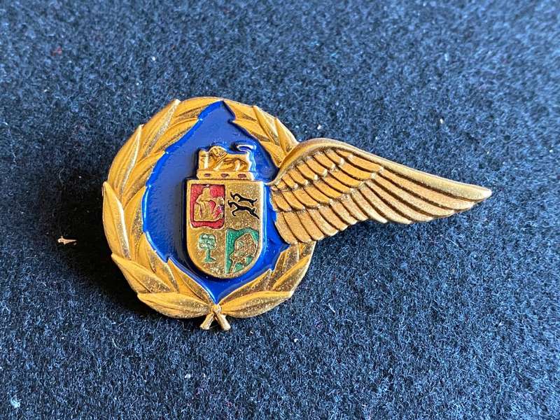SCARCE- SOUTH AFRICAN AIRWAYS INSTRUCTOR/INSTRUCTORESS CABIN CREW BREAST BADGE- 2 PINS