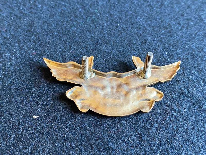 TRANSKEI MILITARY AIR WING CAP BADGE- 2X LUGS