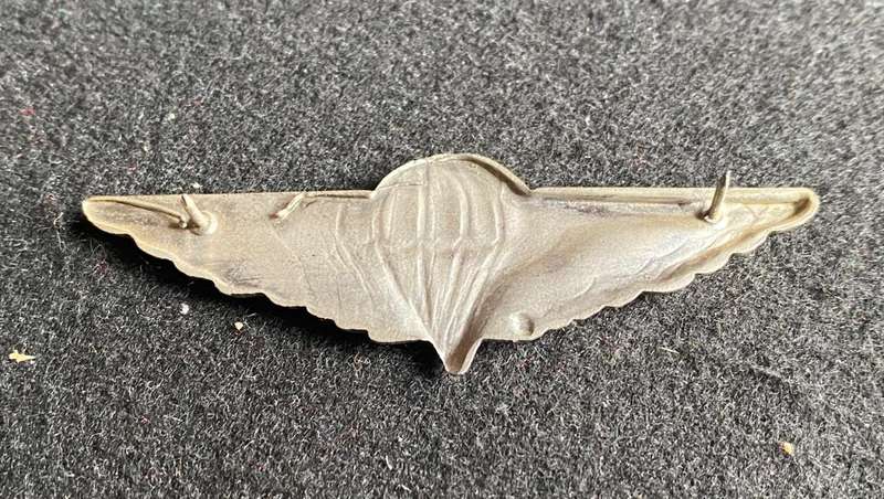 REP. OF CISKEI DEFENCE FORCE PARACHUTE WINGS (CHROME) - 2 PINS