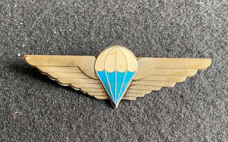 REP. OF CISKEI DEFENCE FORCE PARACHUTE WINGS (CHROME) - 2 PINS