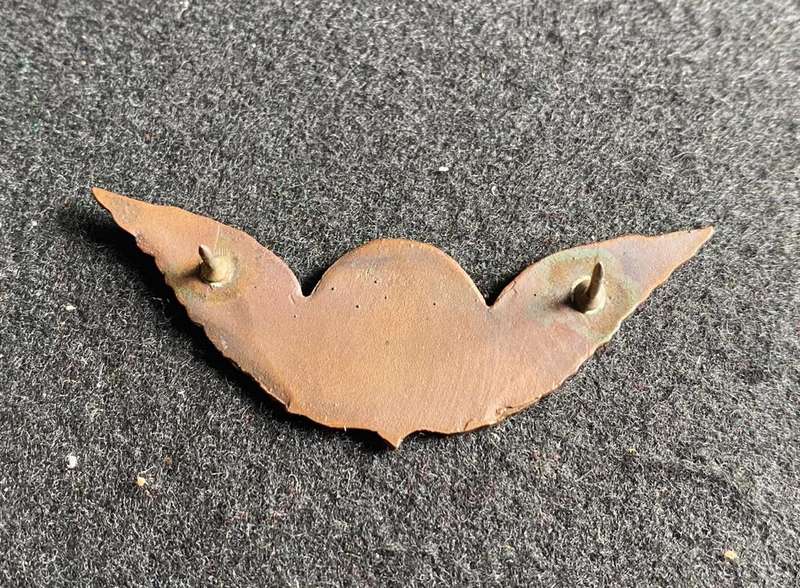 TRANSKEI SPECIAL FORCES,BRONZE NCO'S PARACHUTE WING- 2 PINS