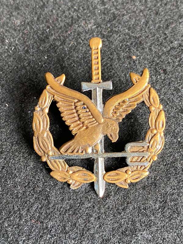 NUMBERED SA TASK FORCE OPERATORS BADGE - BI/METAL- 2 PINS- 1ST ISSUE