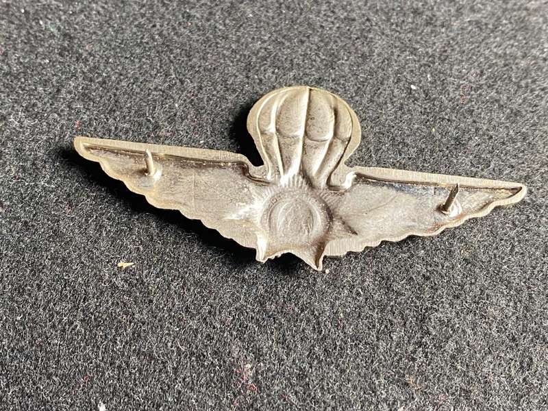CISKEI POLICE PARACHUTE WING- 2 PINS