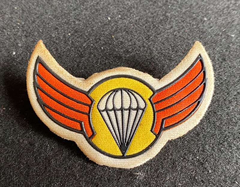 BOPHUTHATSWANA PARA WING- 2 PINS