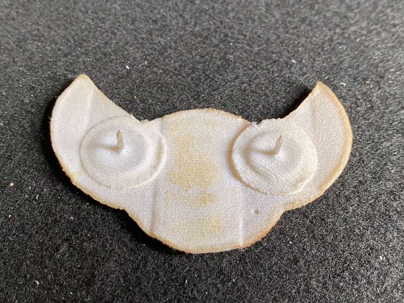 BOPHUTHATSWANA PARA WING- 2 PINS