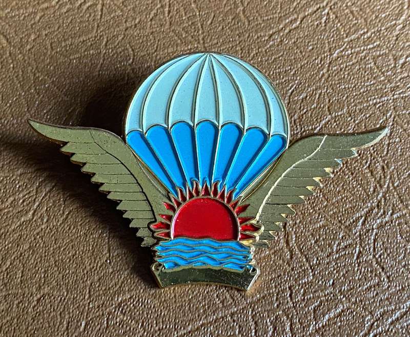 MALAWI-GOLD BASIC PARA WING FOR OFFICERS -ISSUED MARCH 1995- 2 PINS