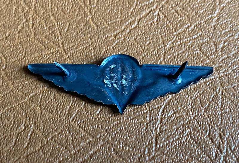 CISKEI,FREE FALL PARA WINGS-MESS DRESS- 2 PINS