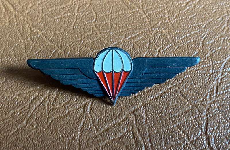 CISKEI,FREE FALL PARA WINGS-MESS DRESS- 2 PINS