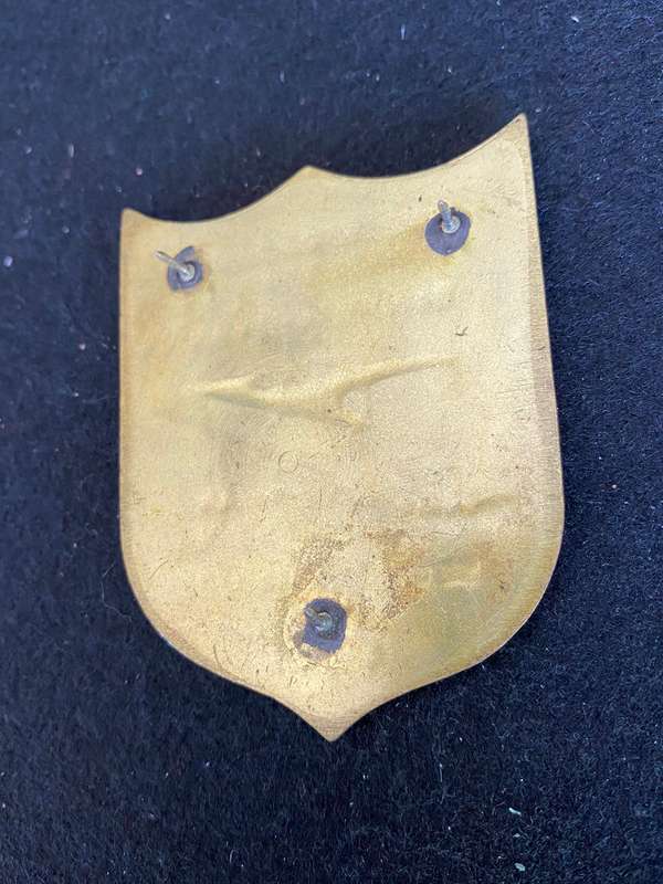 VINTAGE SA TRANSPORT SERVICES SECURITY GUARD FLASH- 3 PINS