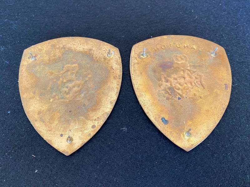 SANDTON SECURITY FLASH PAIR- PINS INTACT