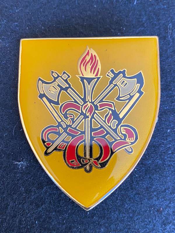 SA FIRE BRIGADE FLASH- 2 PINS