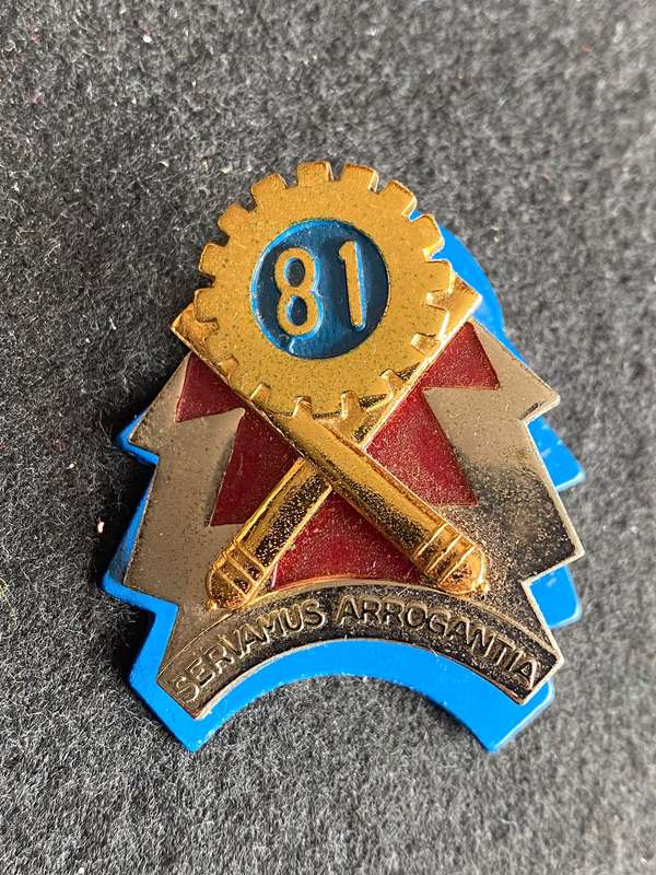 81 TECHNICAL STORES DEPOT,CAP BADGE-APPROVED 1987- 2 LUGS