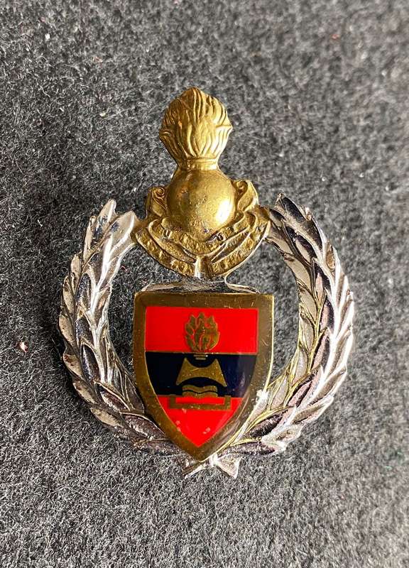 2 FIELD ENGINEER REGT. CAP BADGE-APPROVED 1986- 2 LUGS