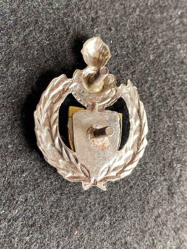 35 ENGINEER SUPPORT UNIT CAP BADGE-APPROVED 1986- 2X SCREW LUGS